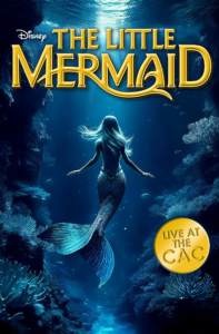 Read more about the article 5 The Little Mermaid