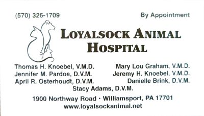 loyalsock hospital copy